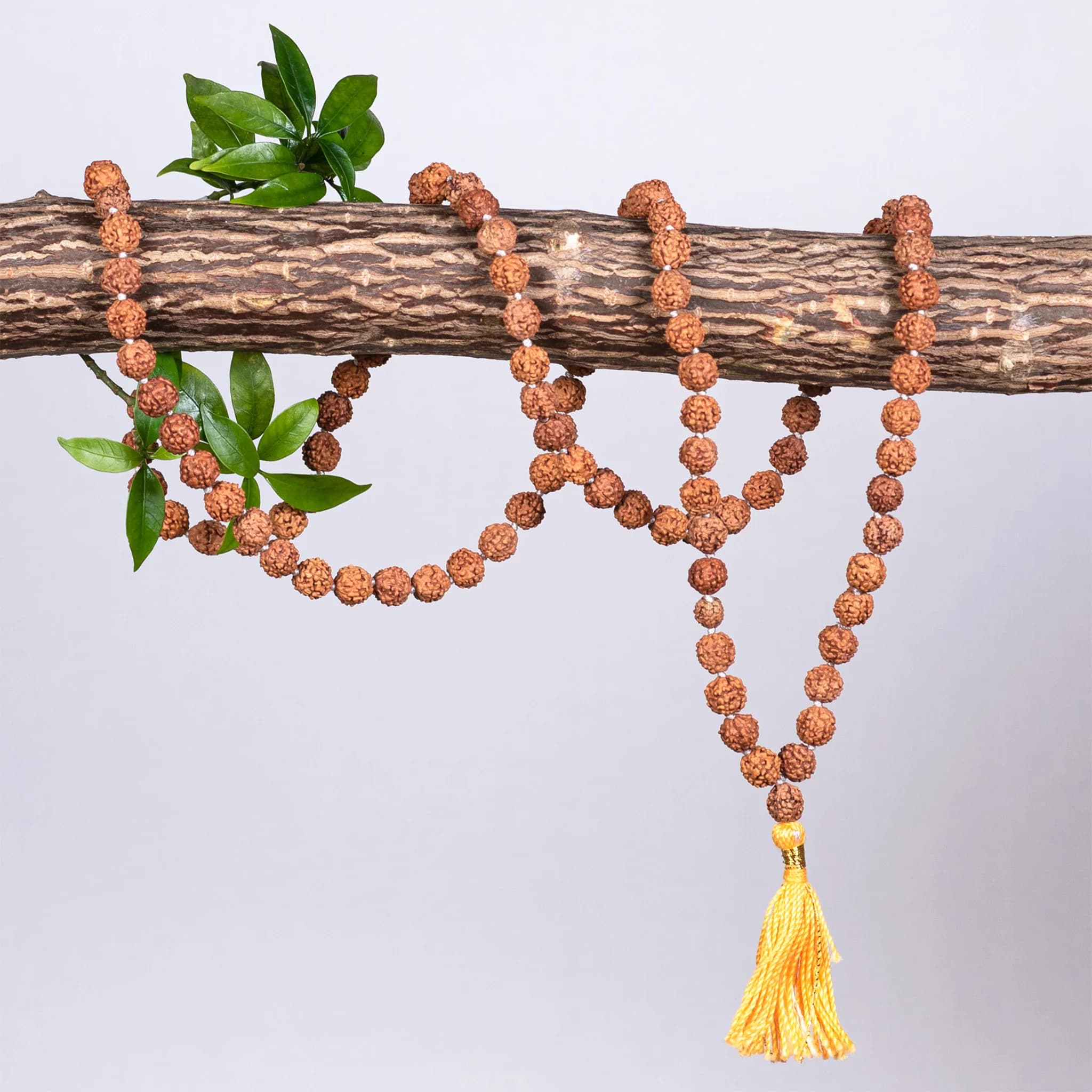 Natural Rudraksha Mala for Jap, Meditation & Puja Natural Rudraksha Mala for Jap, Meditation & Puja