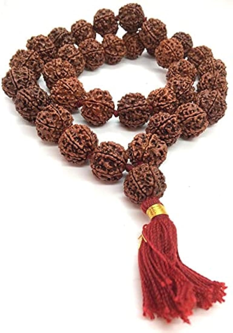 ShivaRatna 6 Mukhi Kantha Rudraksha Mala ShivaRatna 6 Mukhi Kantha Rudraksha Mala
