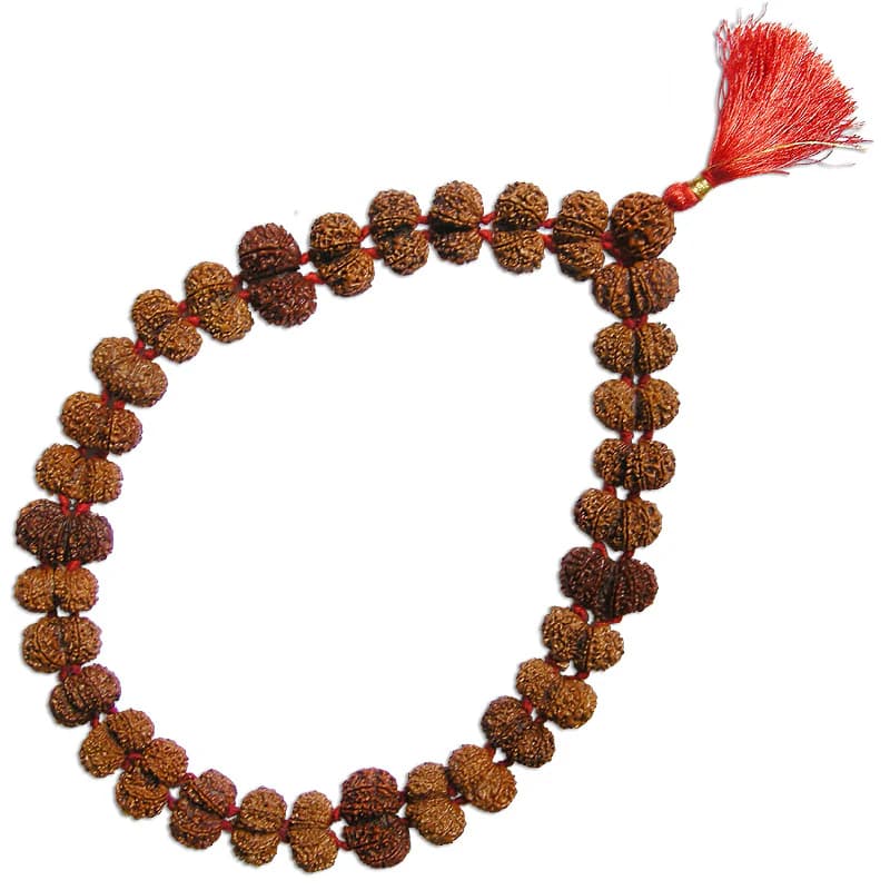 Gauri Shankar Rudraksha Kantha Mala for Spiritual & Meditation Gauri Shankar Rudraksha Kantha Mala for Spiritual & Meditation